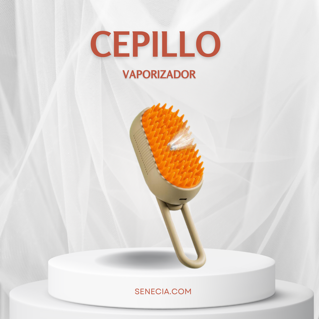 CEPILLO VAPORIZADOR