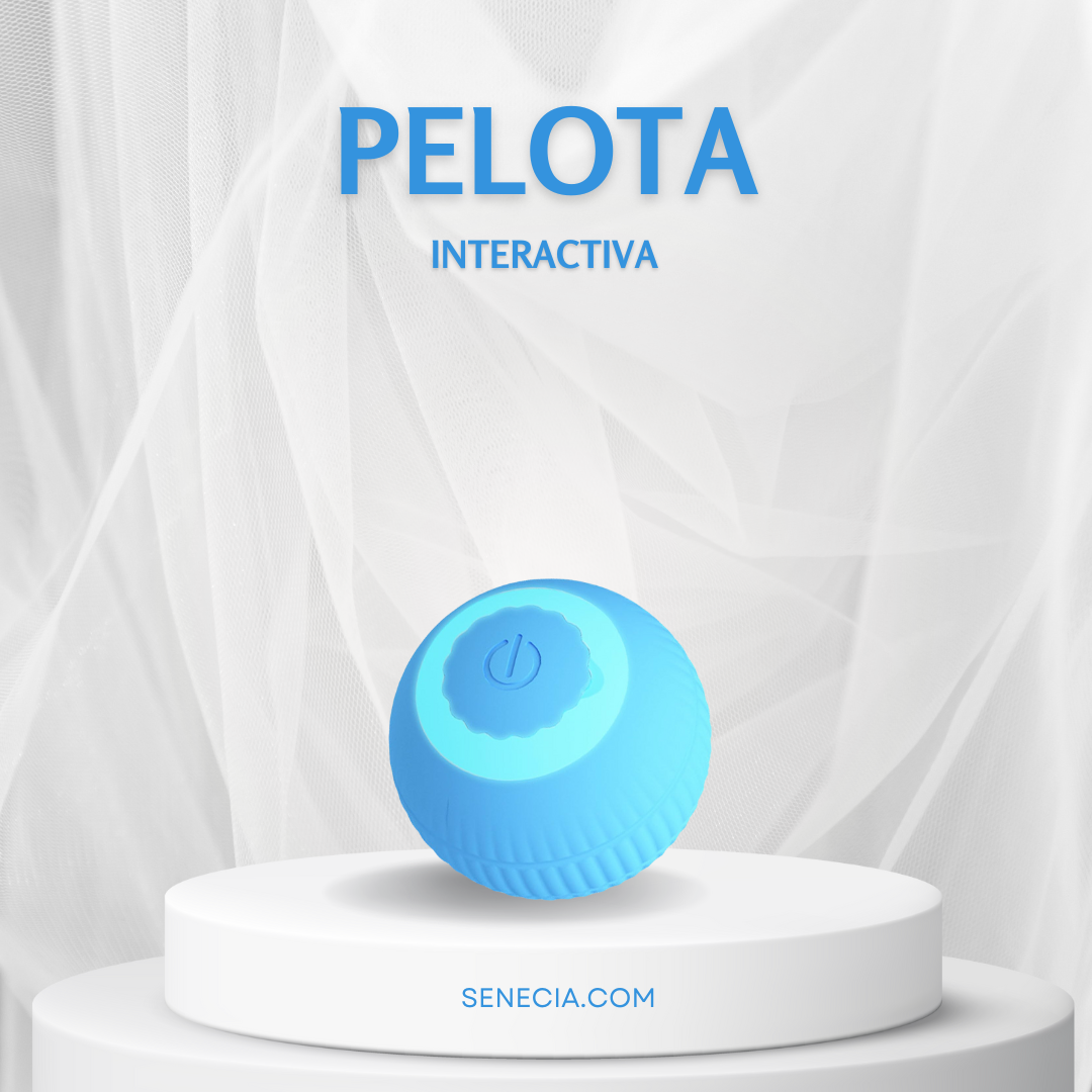 PELOTA INTERACTIVA